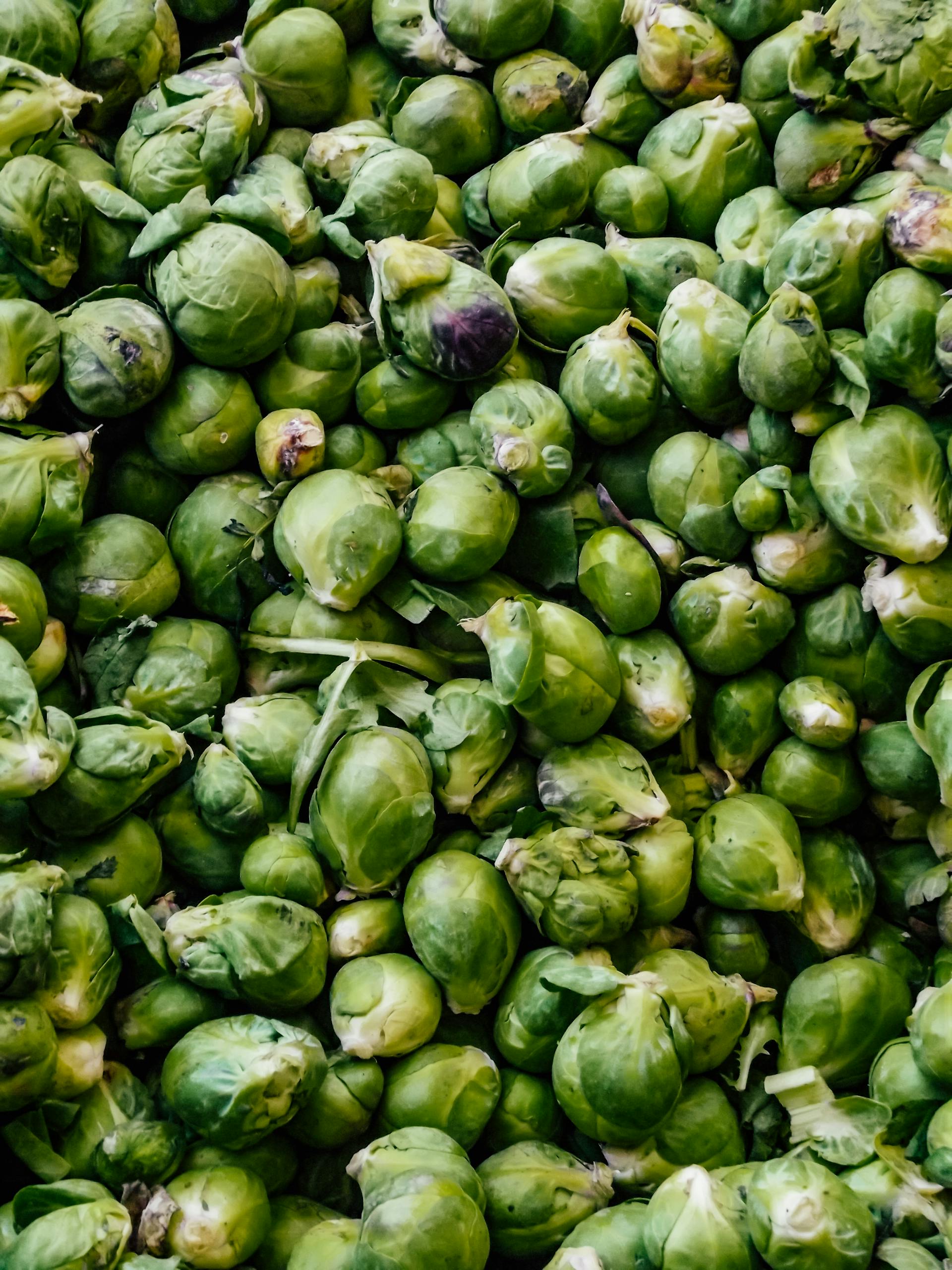 Vertical shot of freshly harvested green brussels sprouts in detail.