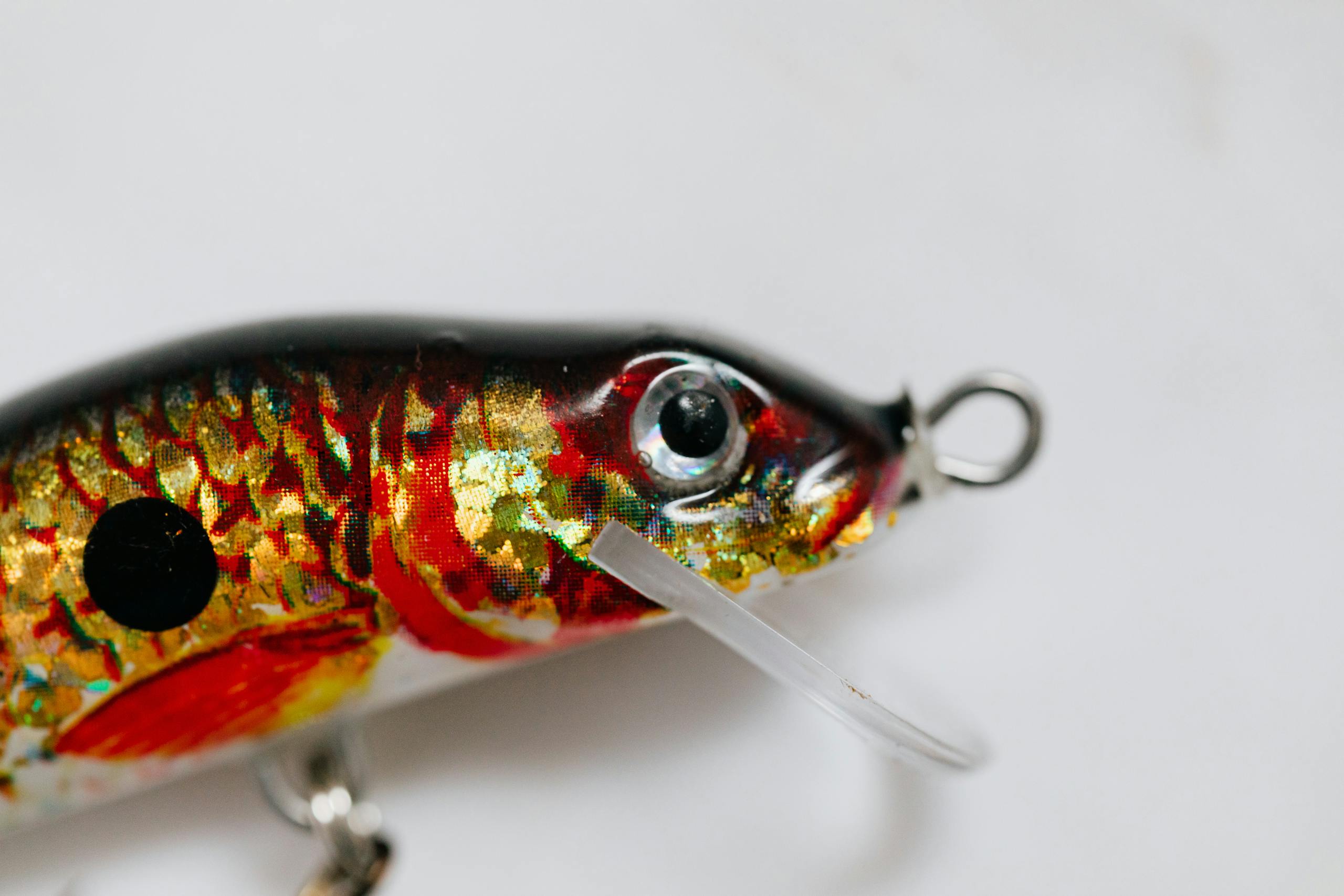 Vivid close-up of a colorful fishing lure on a white background.