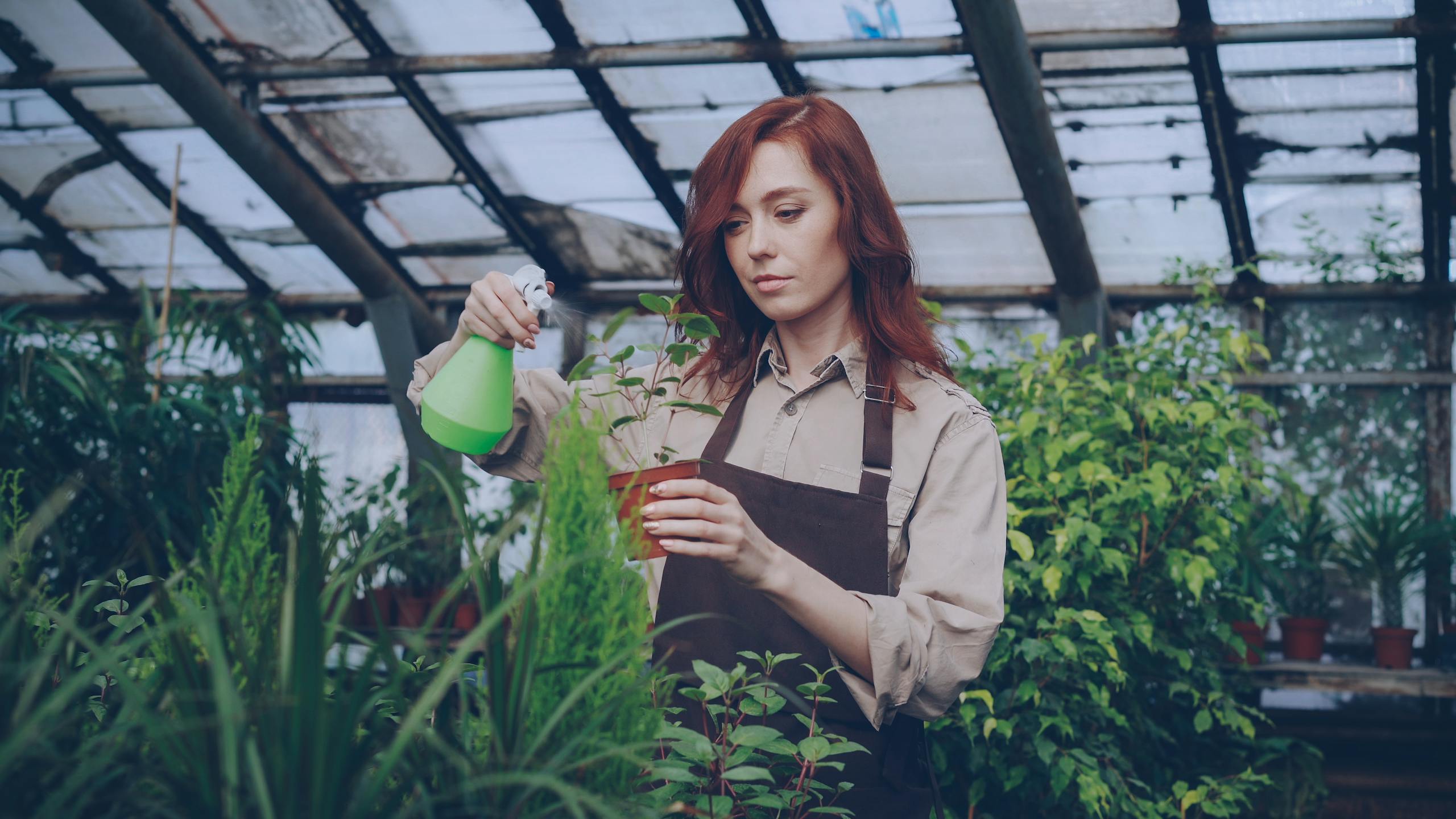 Young woman tending to plants in a greenhouse with a spray bottle.