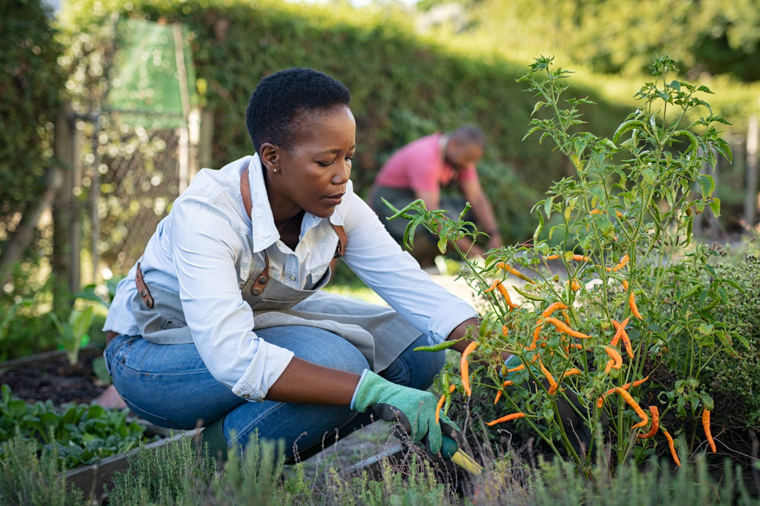 10 Yard Design Mistakes That Make Your Garden Look Smaller Than It Really Is