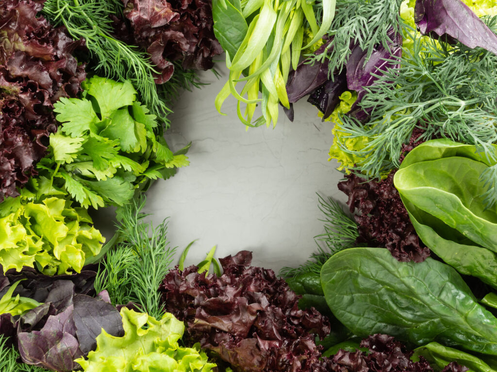 different edible fresh greens, herbs of green and purple are laid out around on a gray background, in the center there is copy space