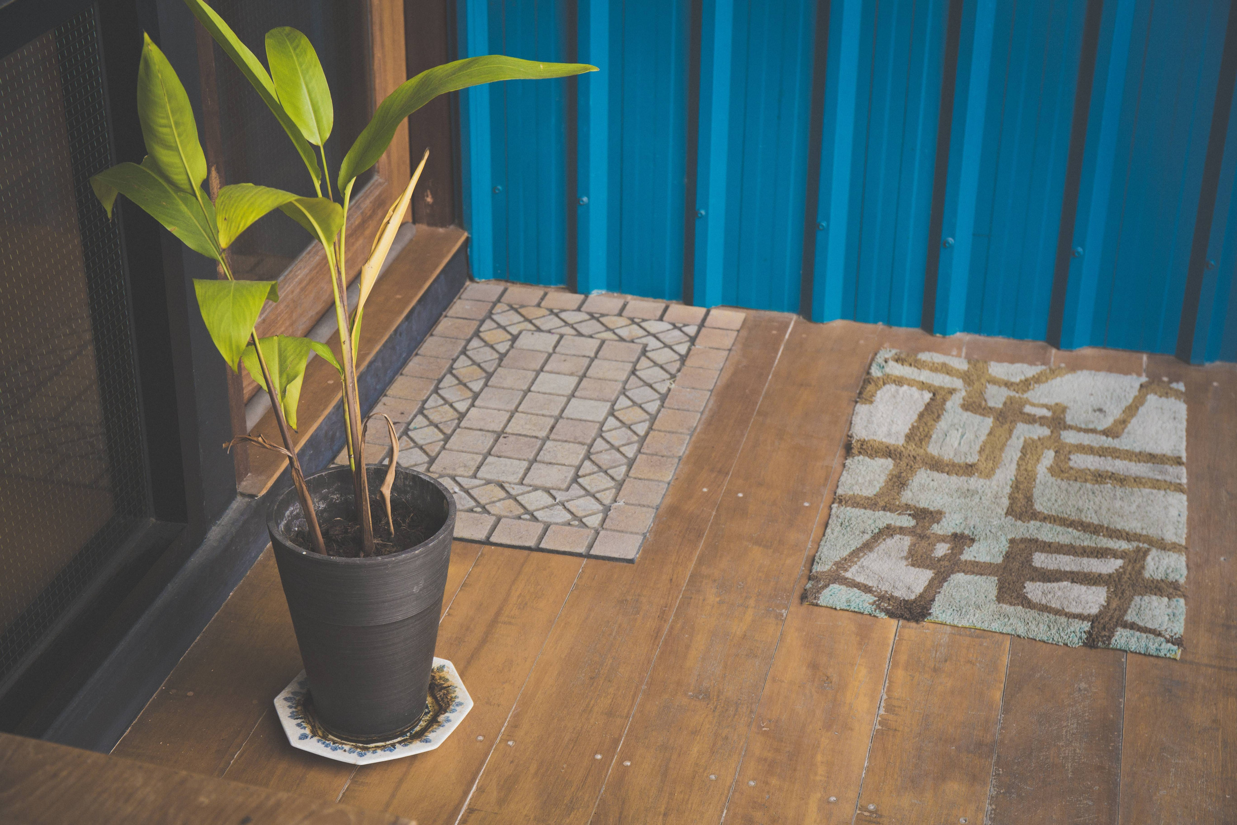Blue color corrugated metal sheet and little tree background