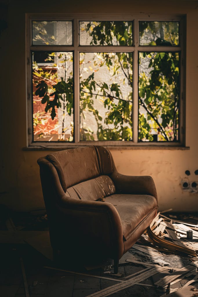 A deserted room with an old sofa and broken window, framed by overgrown greenery.