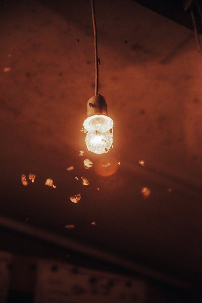 A warm, glowing light bulb with moths swarming around in a dark room, highlighting nighttime movement.