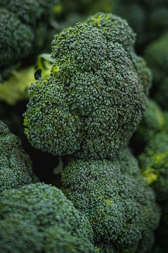 Close-up of vibrant, fresh organic broccoli at a farmer's market, highlighting texture and freshness.