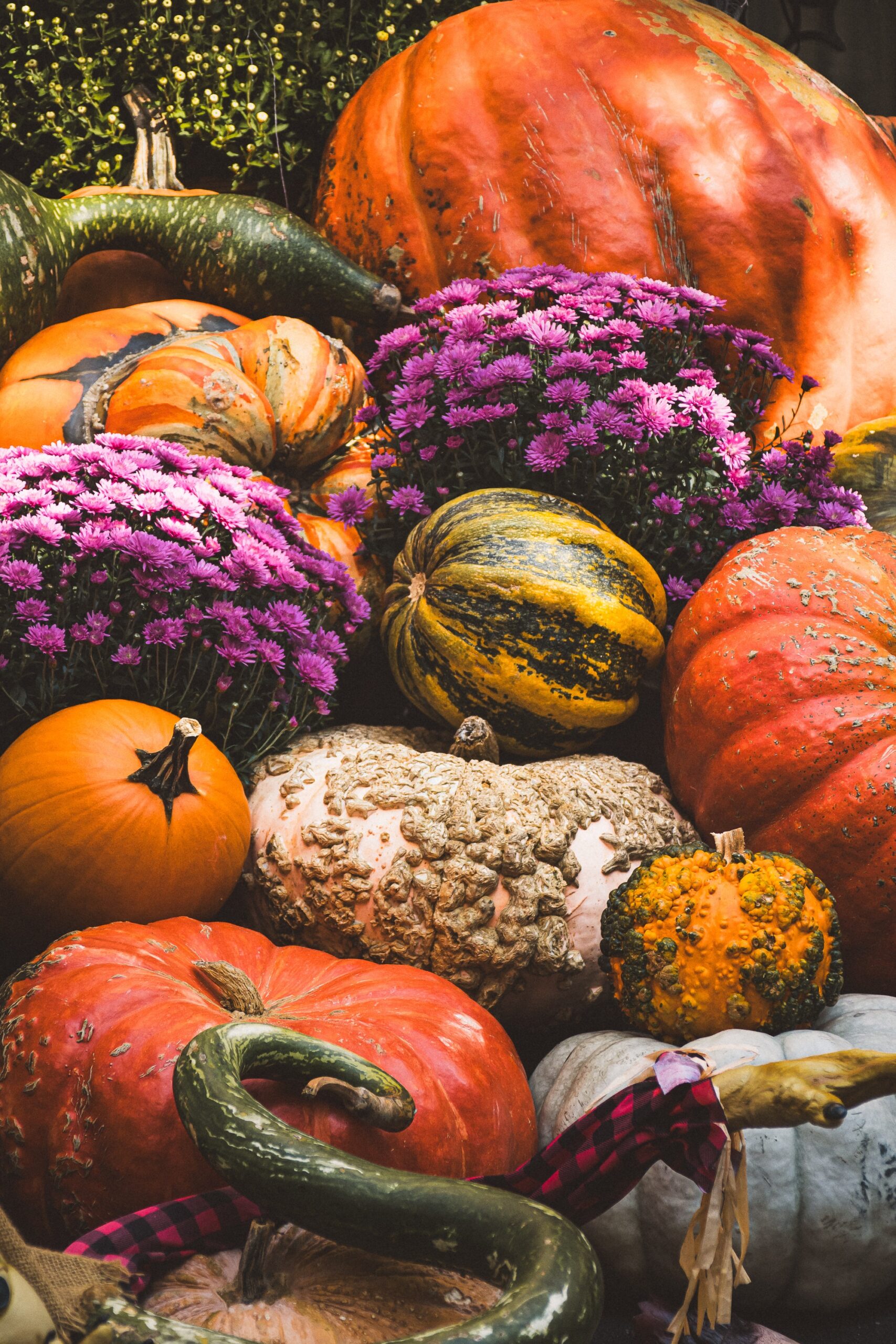 10 Fall Foods You Shouldn’t Ignore If You Want to Eat Better This Season