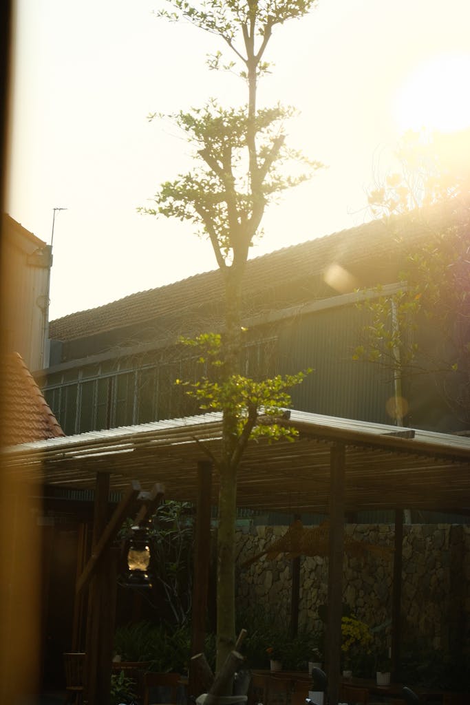 Serene urban garden setting with sunlight filtering through trees at sunset.