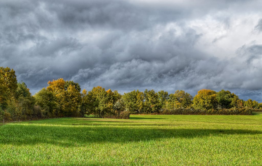 Vibrant green field with a dramatic cloudy sky, perfect for nature and weather themes.