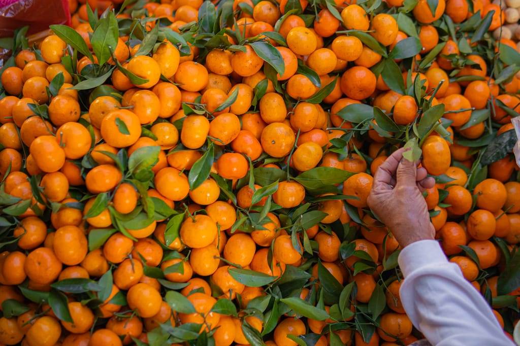 A hand selects ripe tangerines from a vibrant mound, symbolizing fresh produce abundance at a market.
