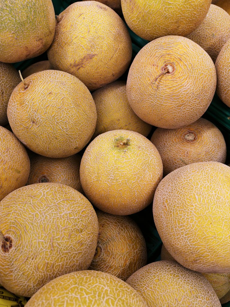 A vibrant close-up of fresh cantaloupes, showcasing their juicy texture and vibrant color.
