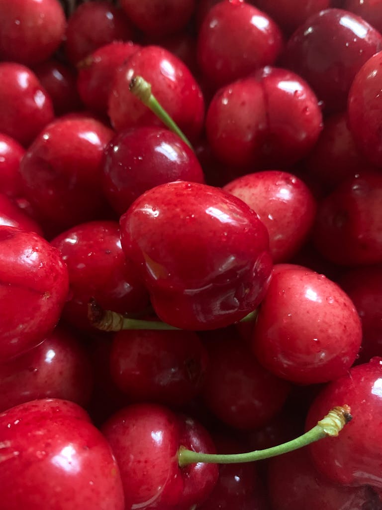 A vibrant close-up of ripe red cherries, highlighting their glossy texture and stems.