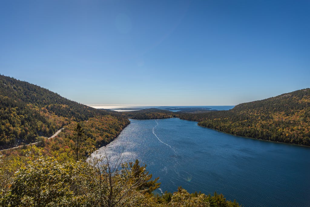 Breathtaking view of a serene pond surrounded by lush forests in Mount Desert, Maine.