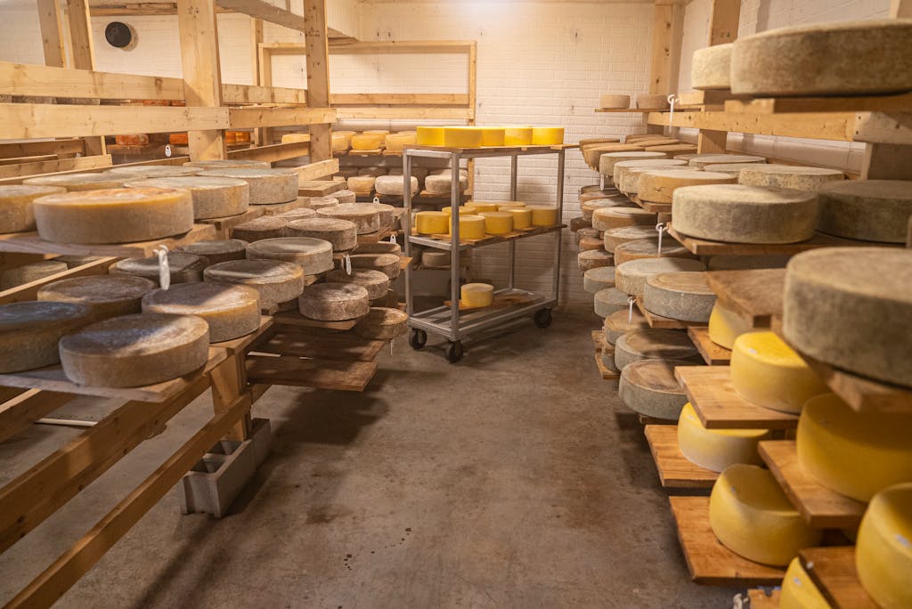 Cheese wheels aging on wooden shelves in a temperature-controlled warehouse.