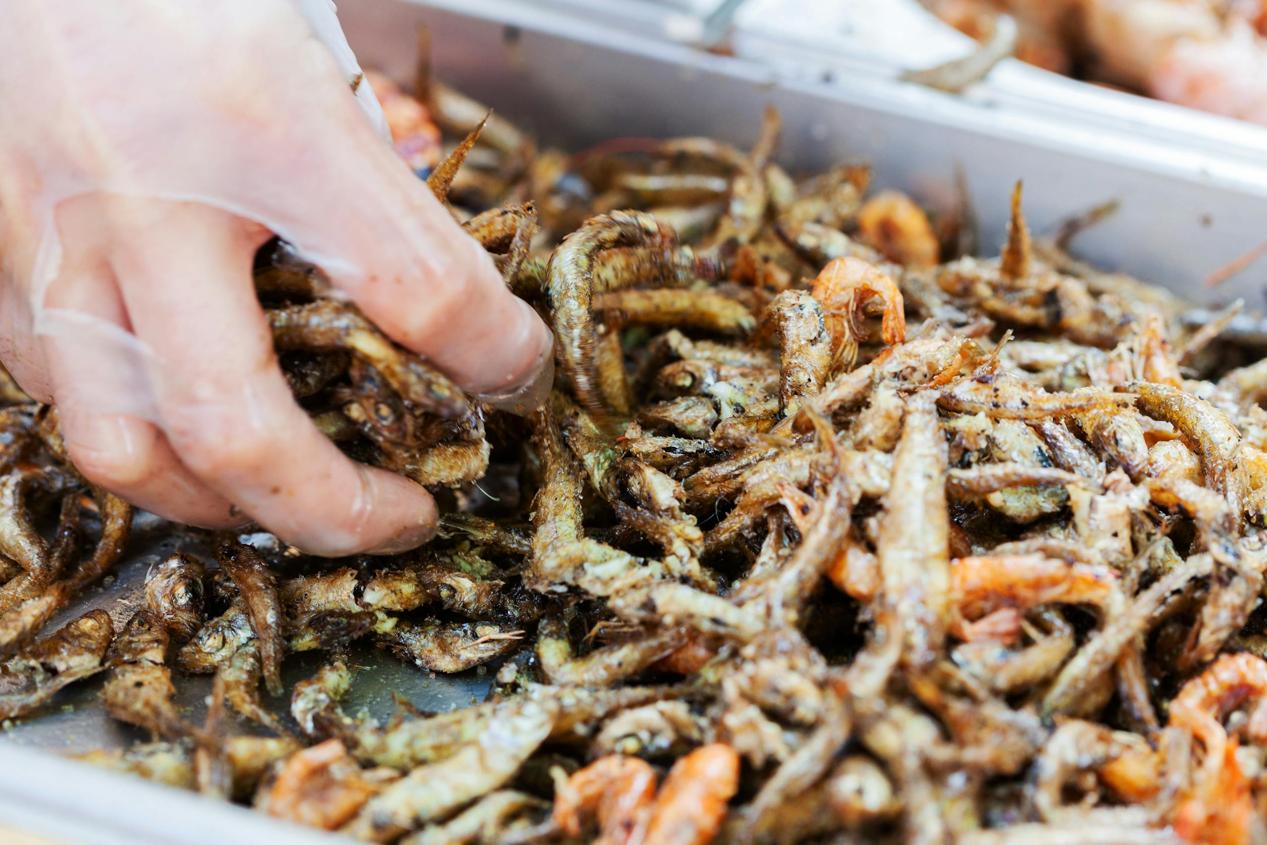 Close-up of a hand picking up fried fish with gloves in a metal tray, perfect for food blogs.