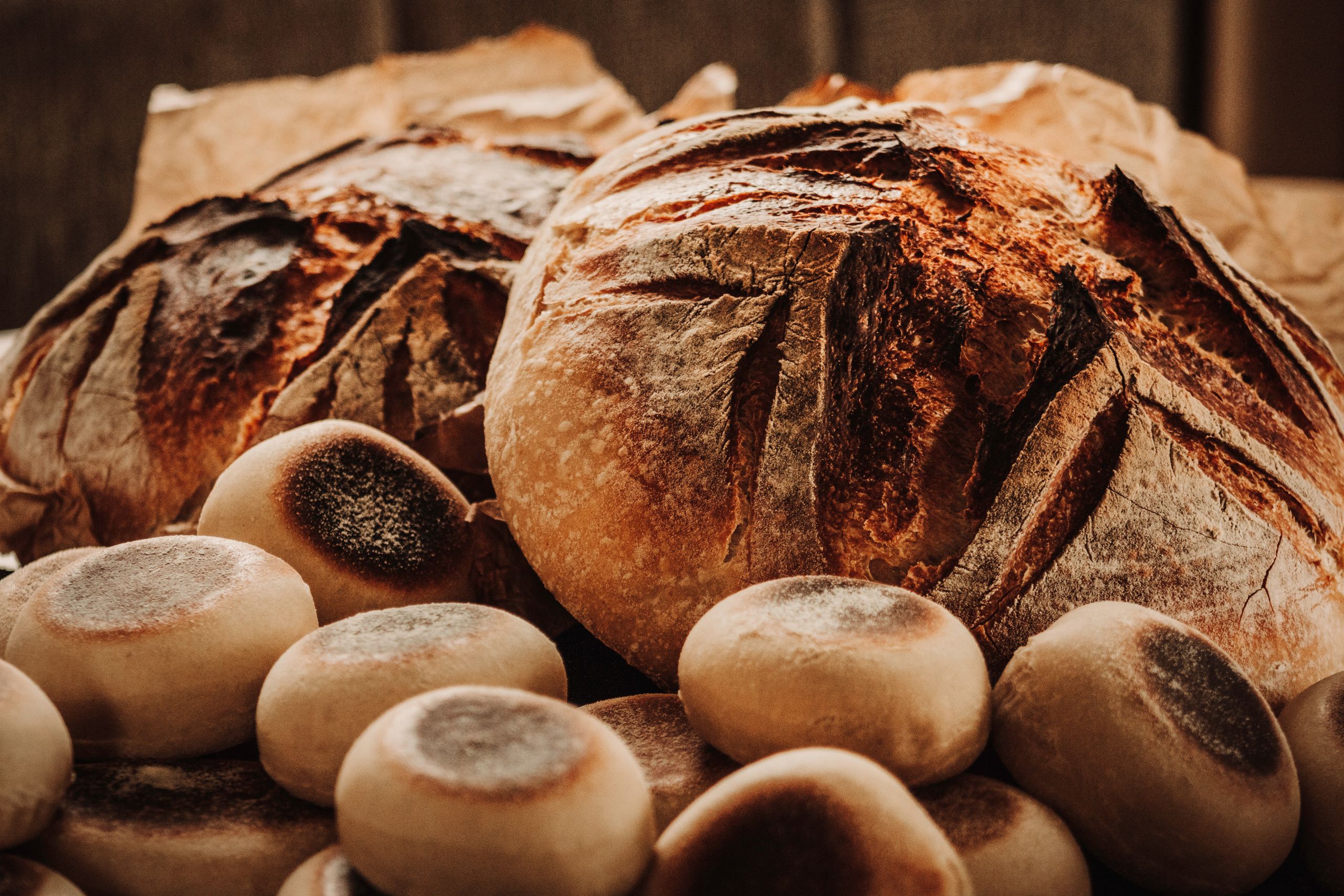 Close-up of freshly baked rustic sourdough loaves and buns in a warm, earthy setting.
