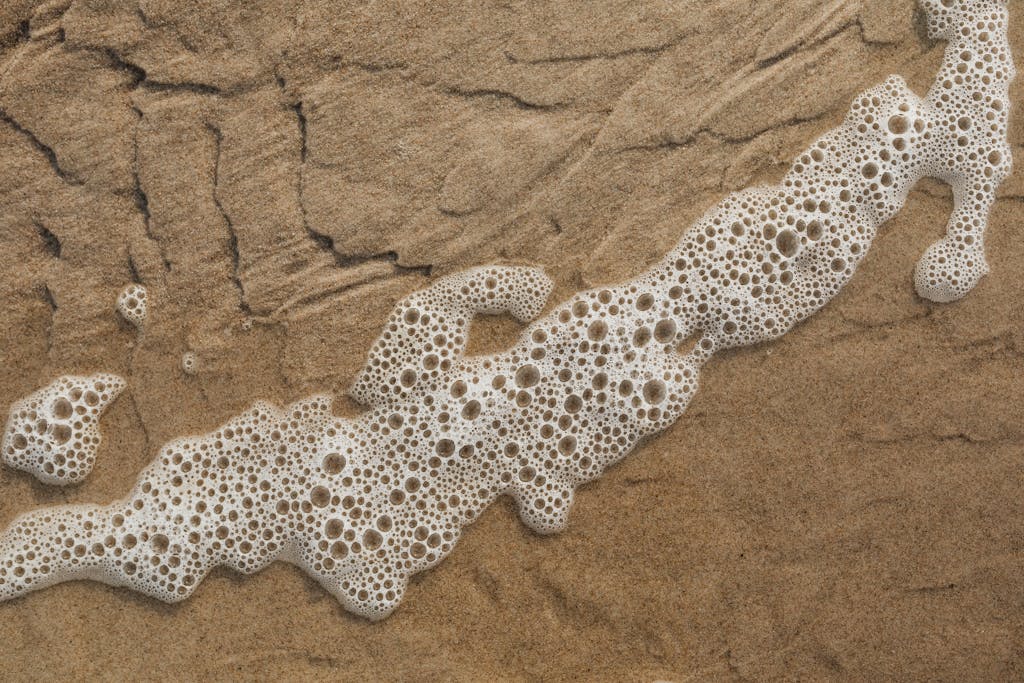 Close-up of seafoam bubbles on a sandy beach, capturing oceanic texture and pattern.