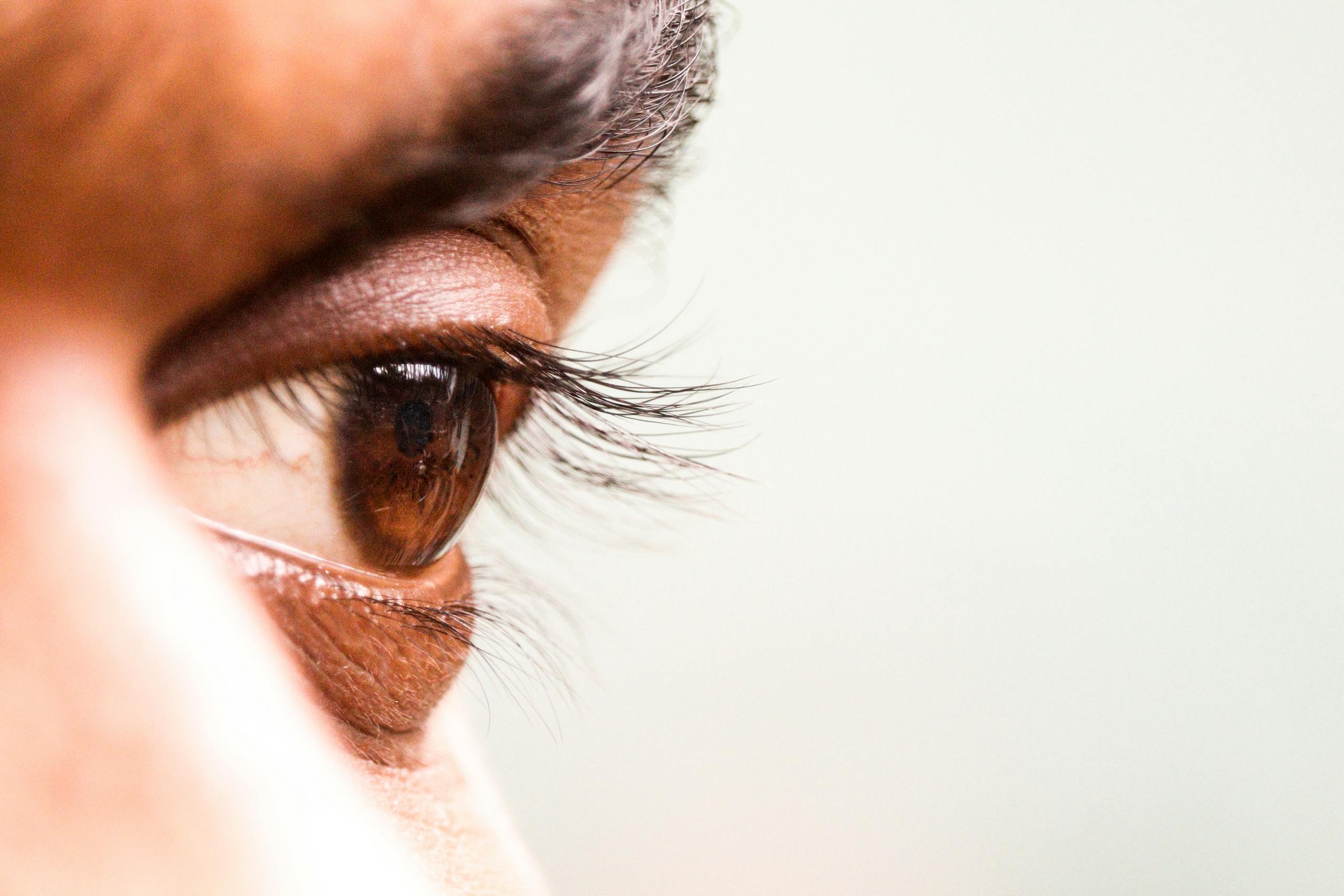 Detailed close-up of a human brown eye showcasing long eyelashes with a soft focus background.