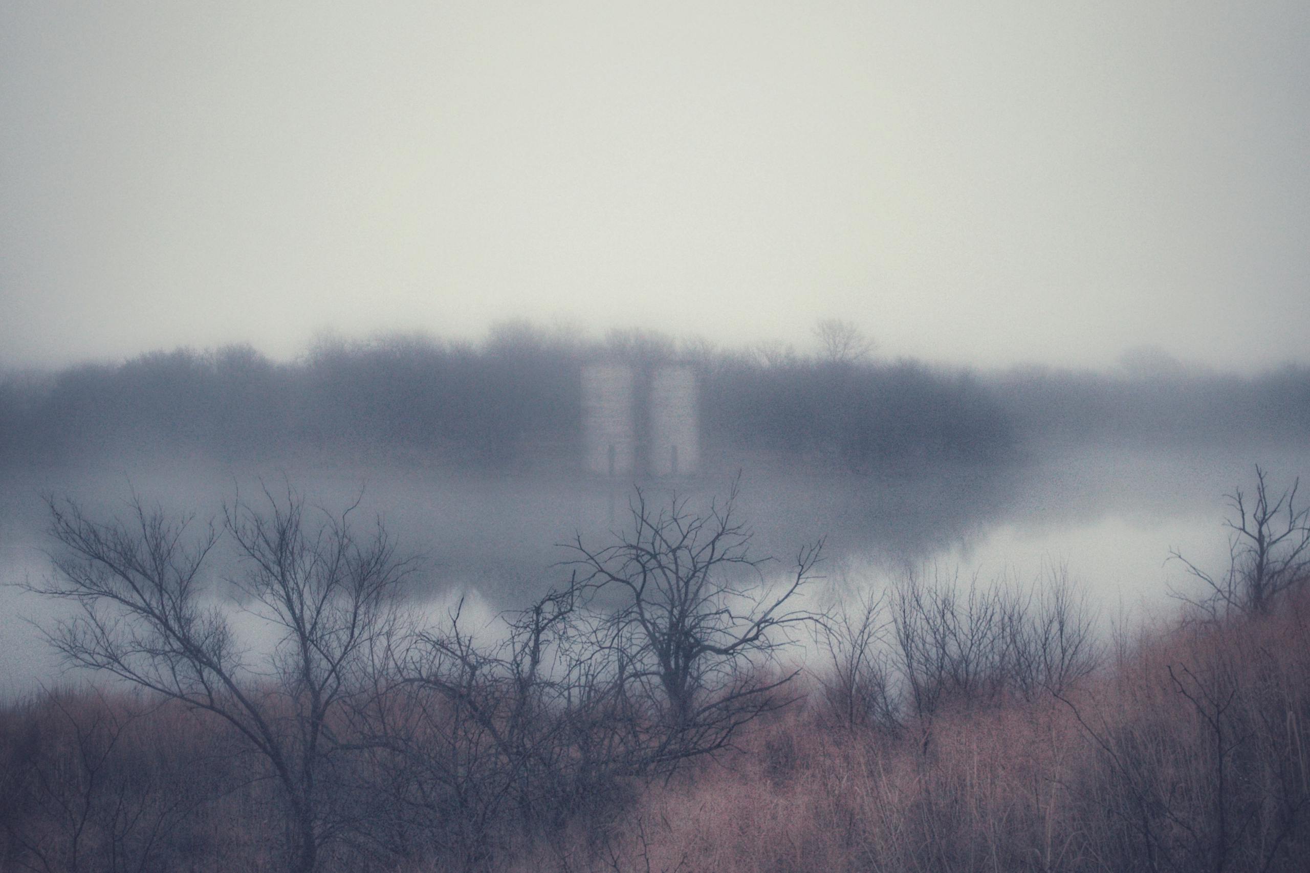 Eerie and misty scene with bare trees and a fog-covered lake in Eureka, KS.