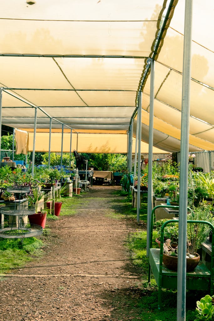 Explore a greenhouse with diverse potted plants under a sunlit canopy.