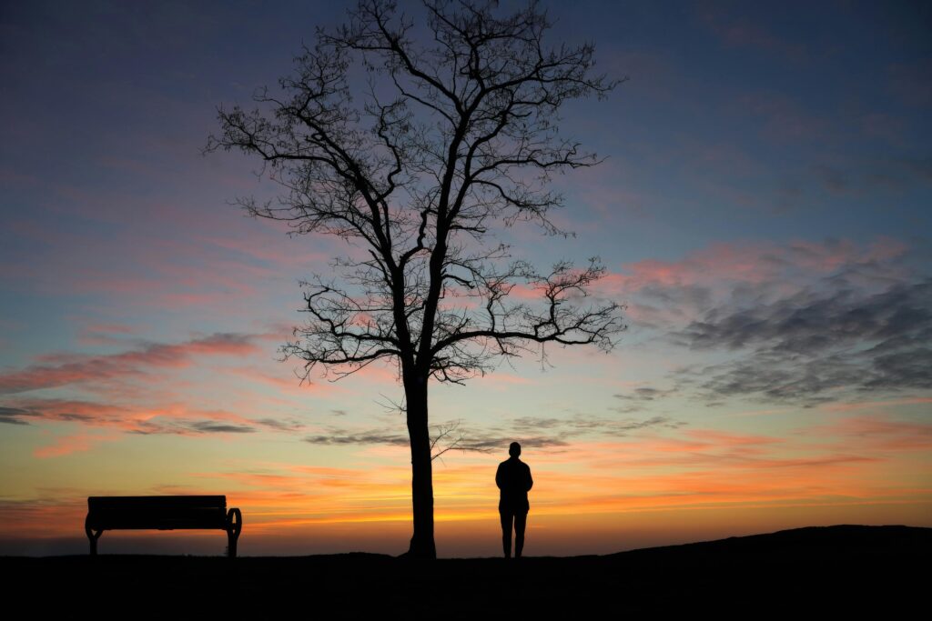 silhouette-of-man-and-tree-against-sunset