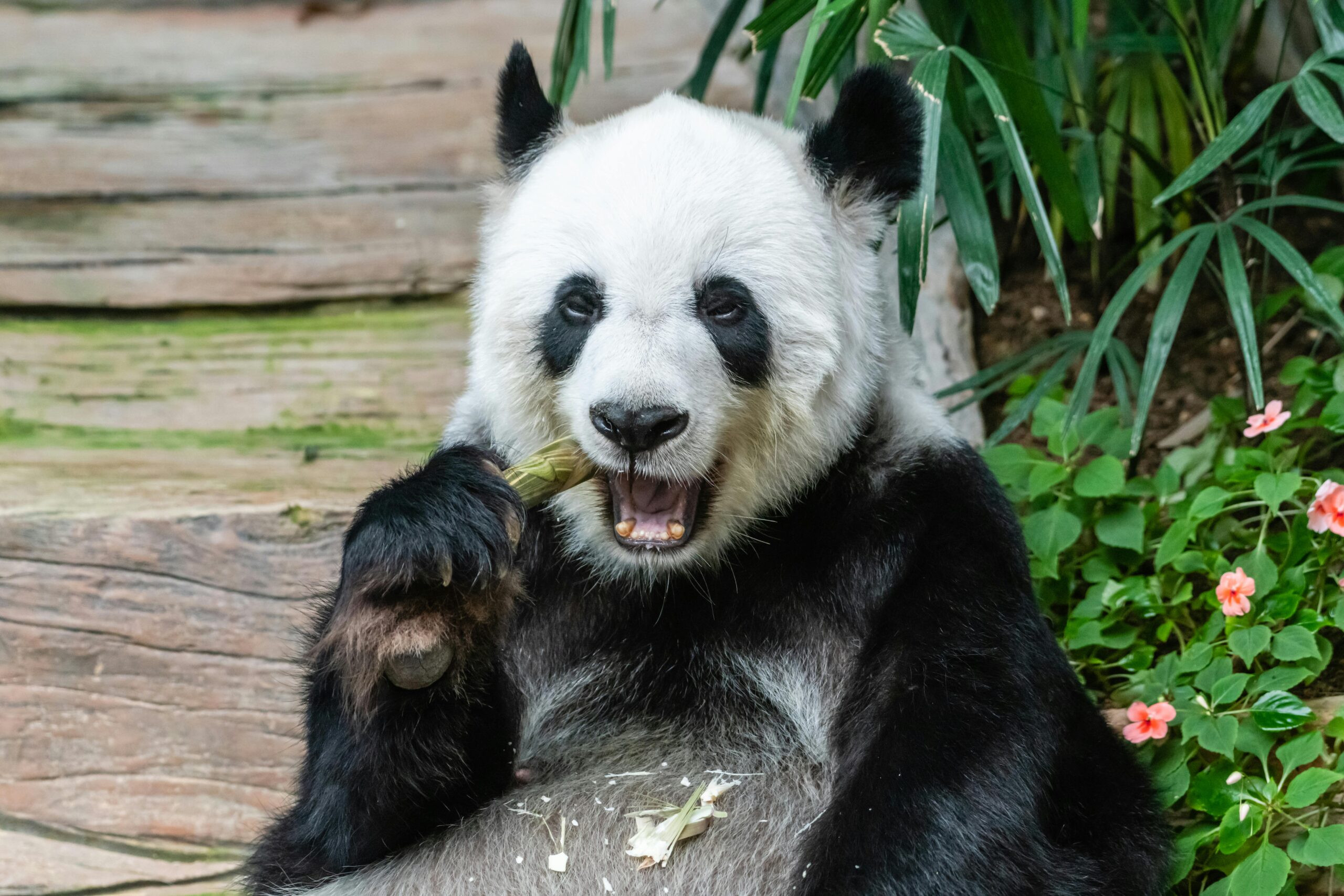 15 Animals With Bizarre and Brutal Diets That Reveal Nature’s Dark Side