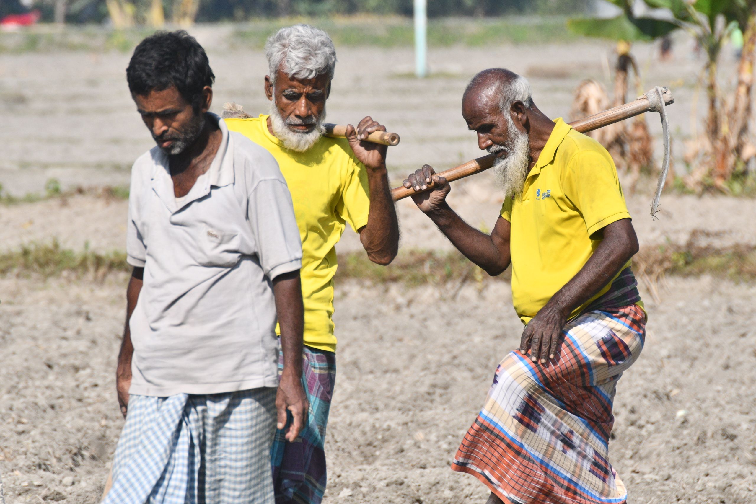 Three senior farmers working in a field in Rangpur, Bangladesh with traditional tools.