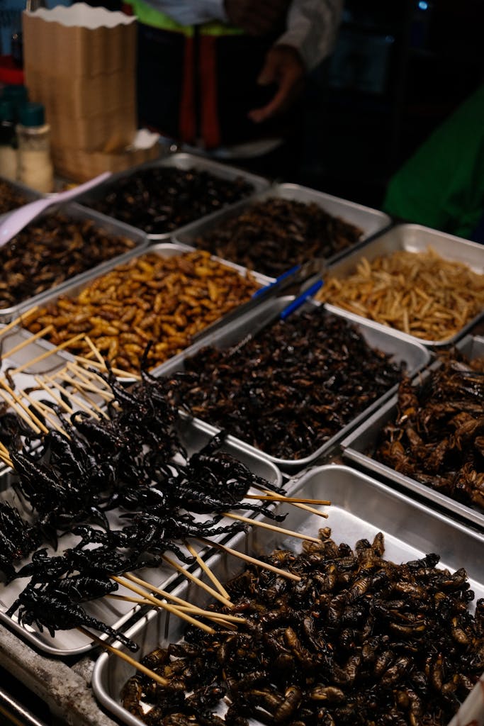 Various trays of edible insects including scorpions and beetles displayed at a market stall.