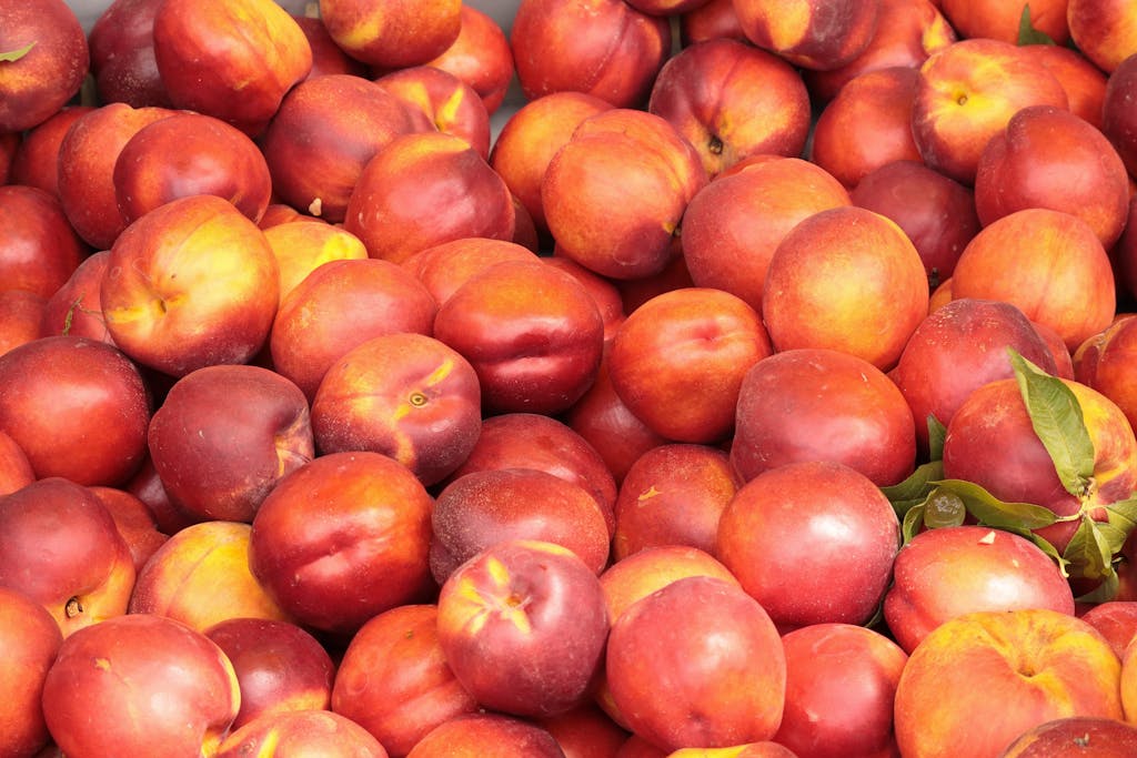 Vibrant red nectarines at a market showcasing their fresh and ripe appeal.