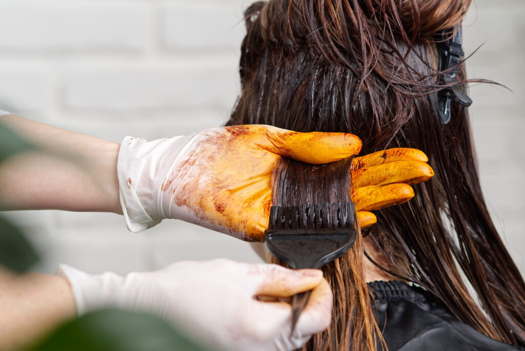 The hairdresser paints the womans hair in a dark color, apply the paint to her hair. Getting beauty procedures. Barber hair dye is applied with a brush