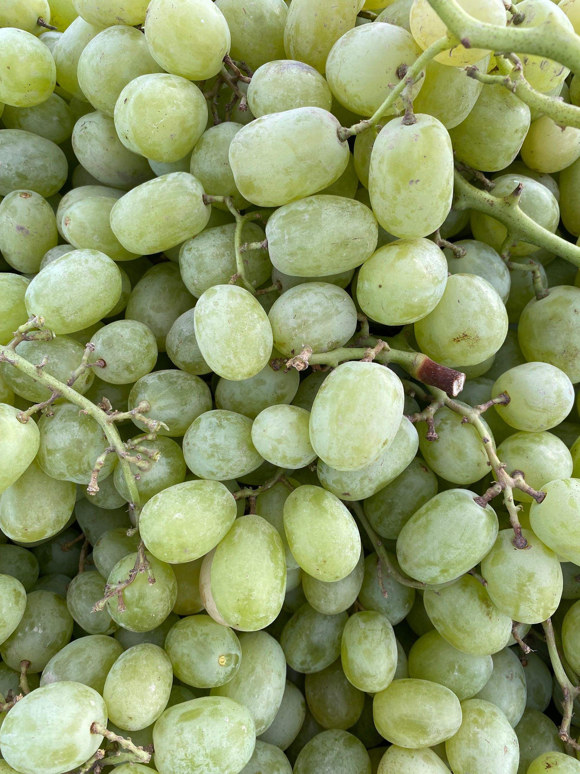 A detailed close-up shot of fresh green grapes. Ideal for food and agriculture themes.