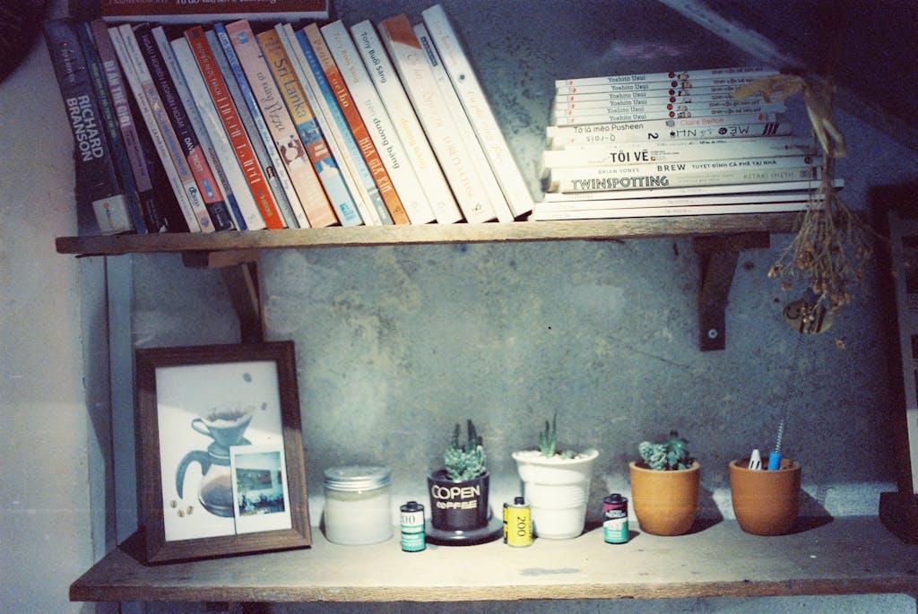 A neatly arranged bookshelf with books, plants, and decorative items, creating a cozy and inviting atmosphere.