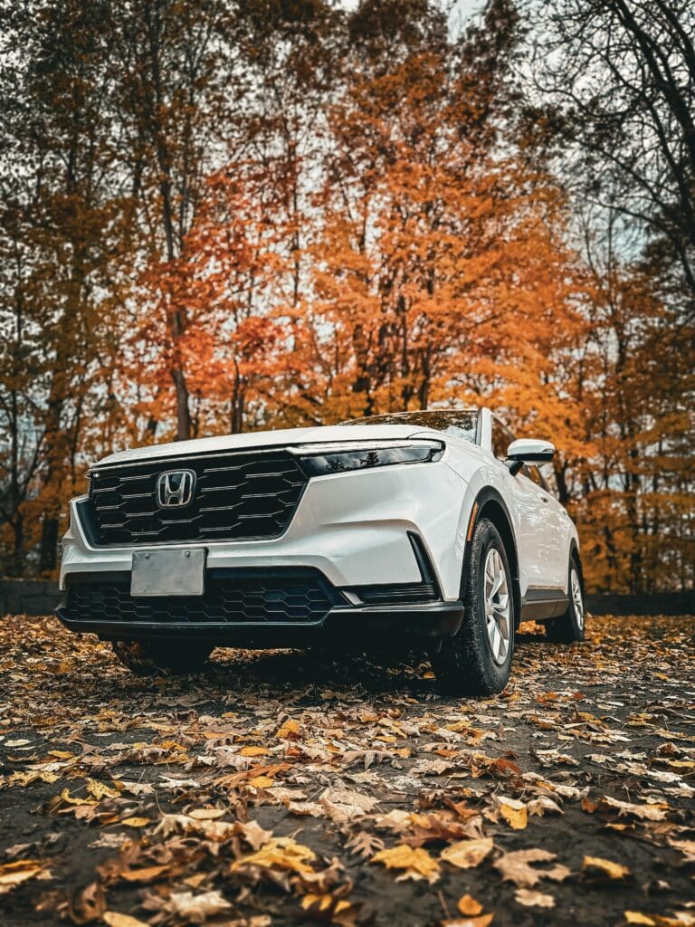 Photo by A T on Unsplash