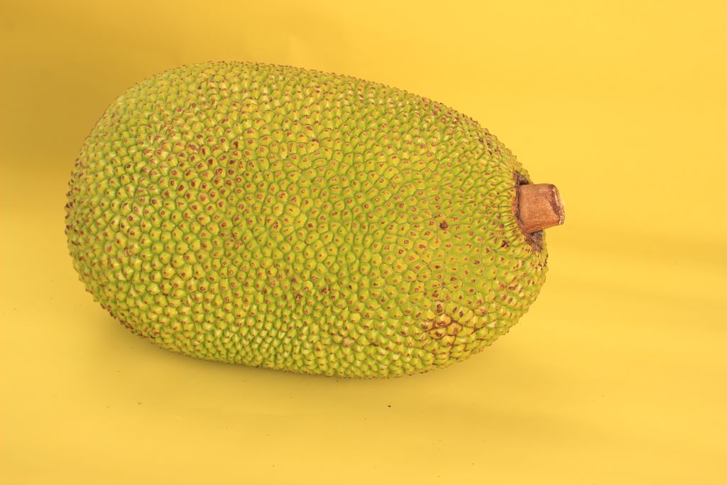 Bright and fresh close-up of a whole jackfruit against a vivid yellow background.