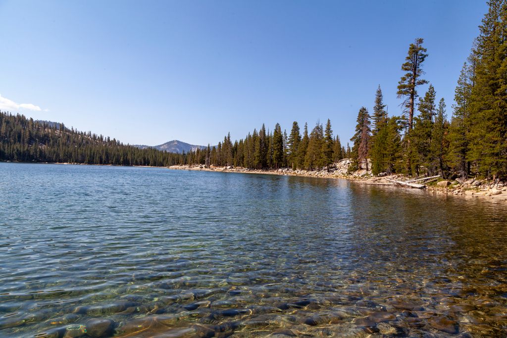 Clear alpine lake with forested shore and distant mountains under blue sky.