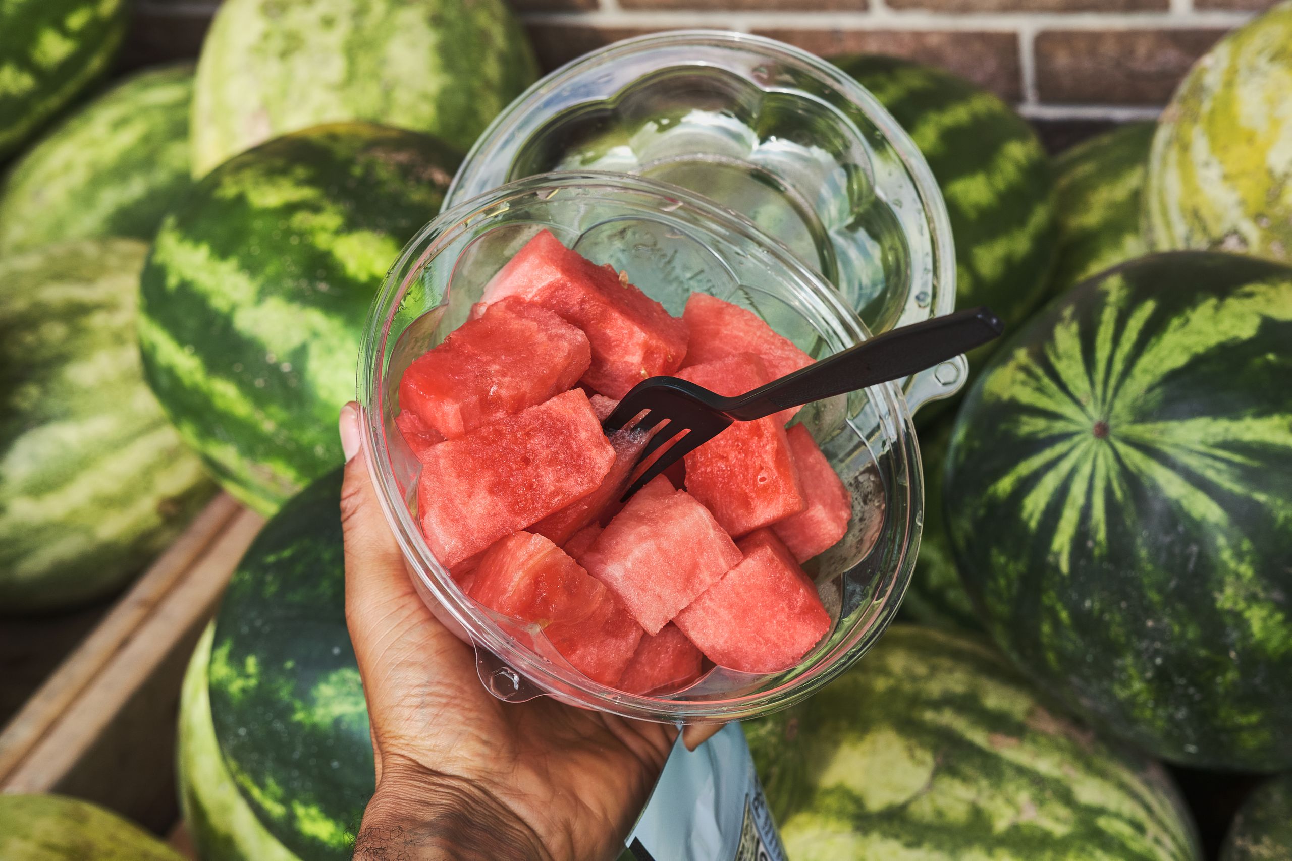 Close-up of hand holding a bowl of sliced watermelon with a fork. Juicy and delicious summer fruit.