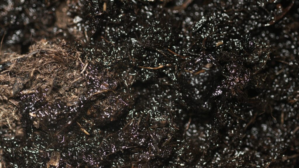 macro-photography-of-wet-soil