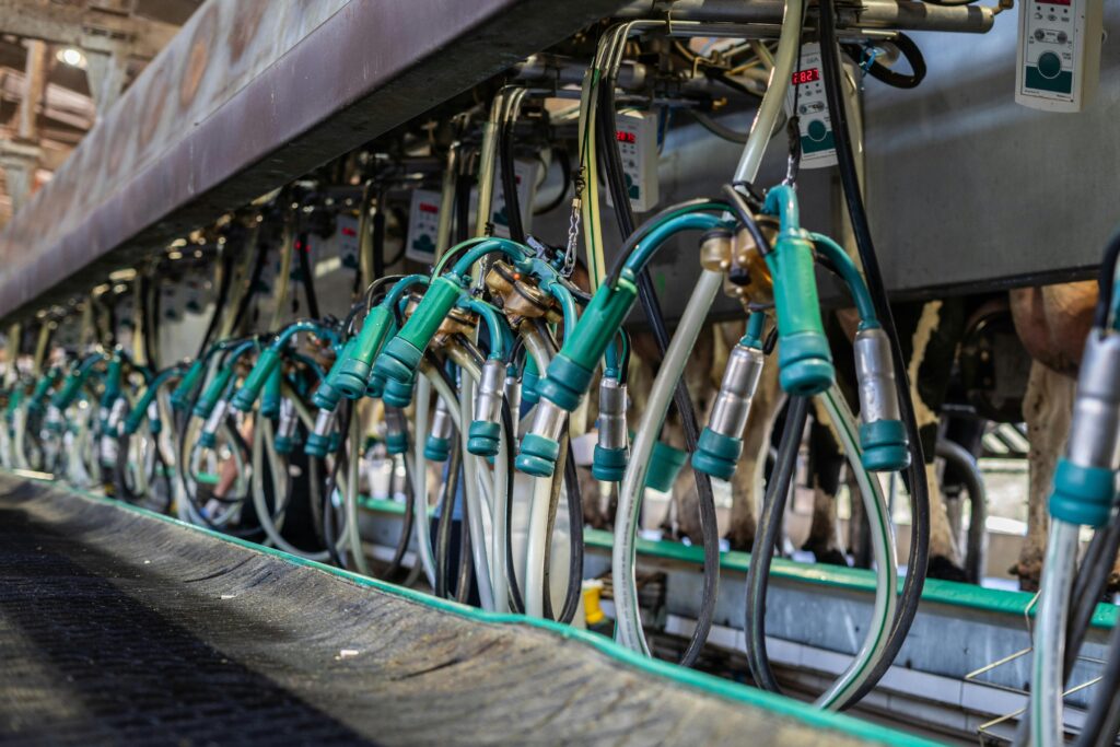 a-row-of-green-and-blue-hoses-on-a-farm