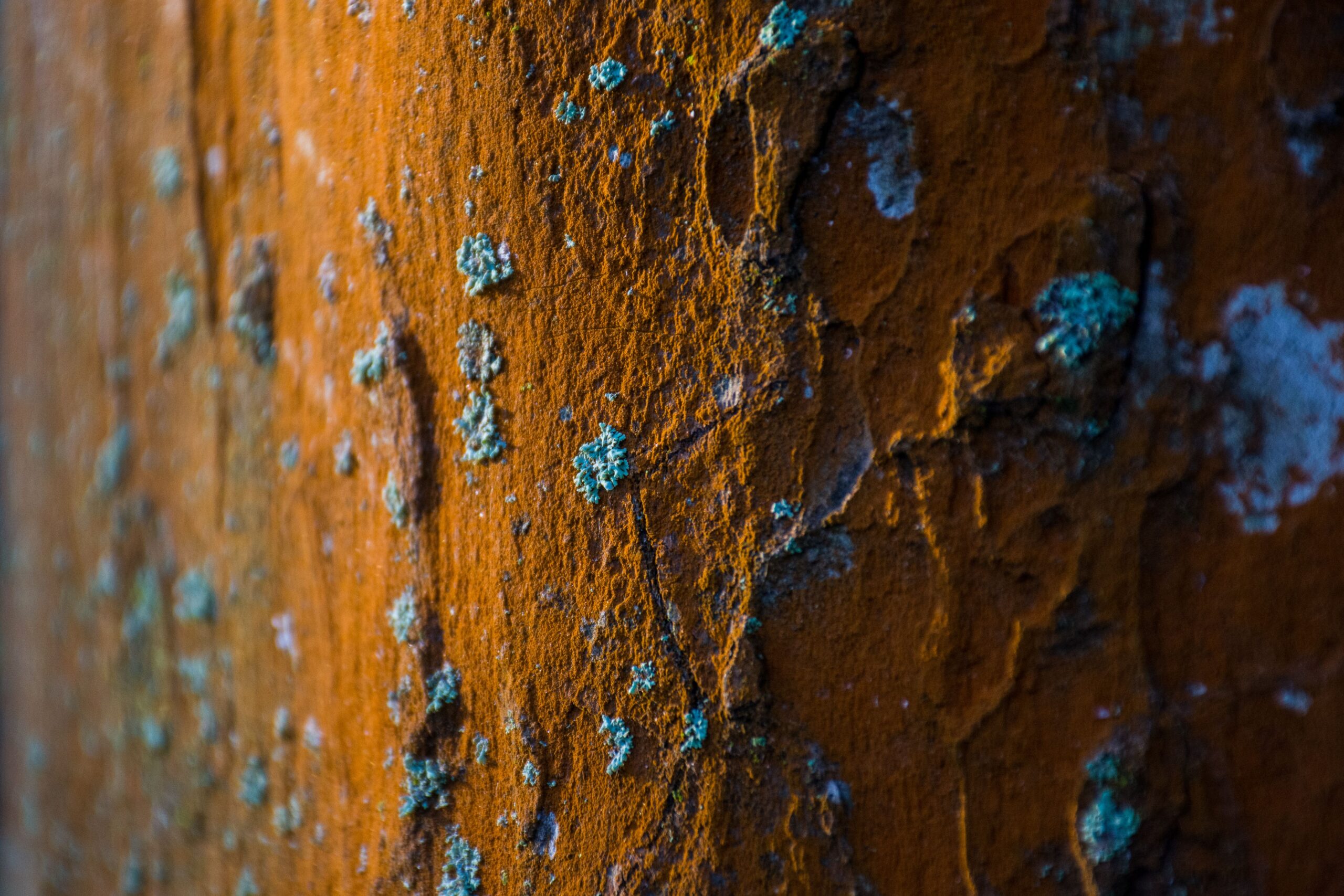 close-up-photography-of-wall